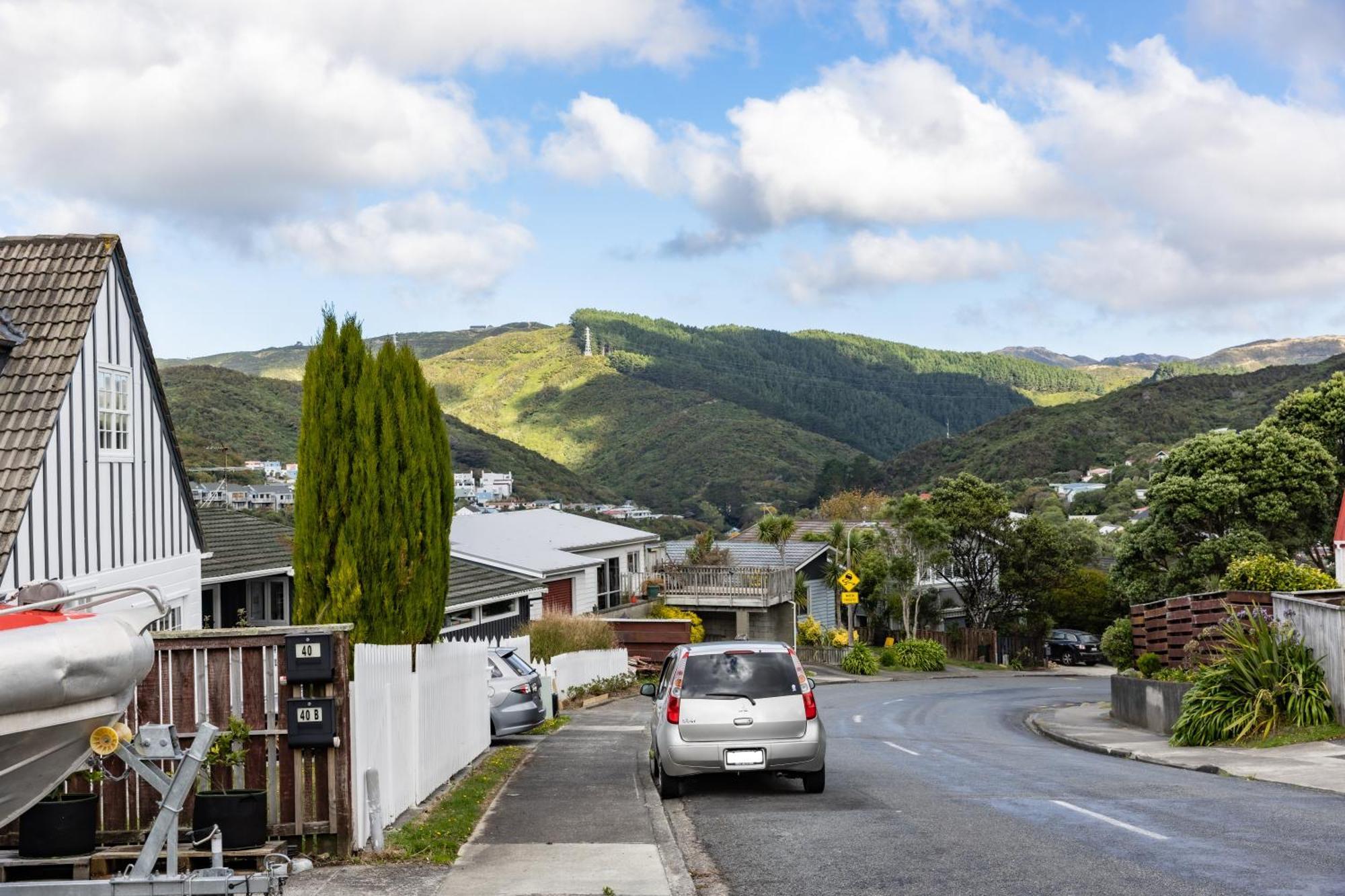Back Garden Flat With Free On Street Parking And Fiber Wifi - 15 Mins To Ferry, Stadium, Cbd Wellington Exterior photo