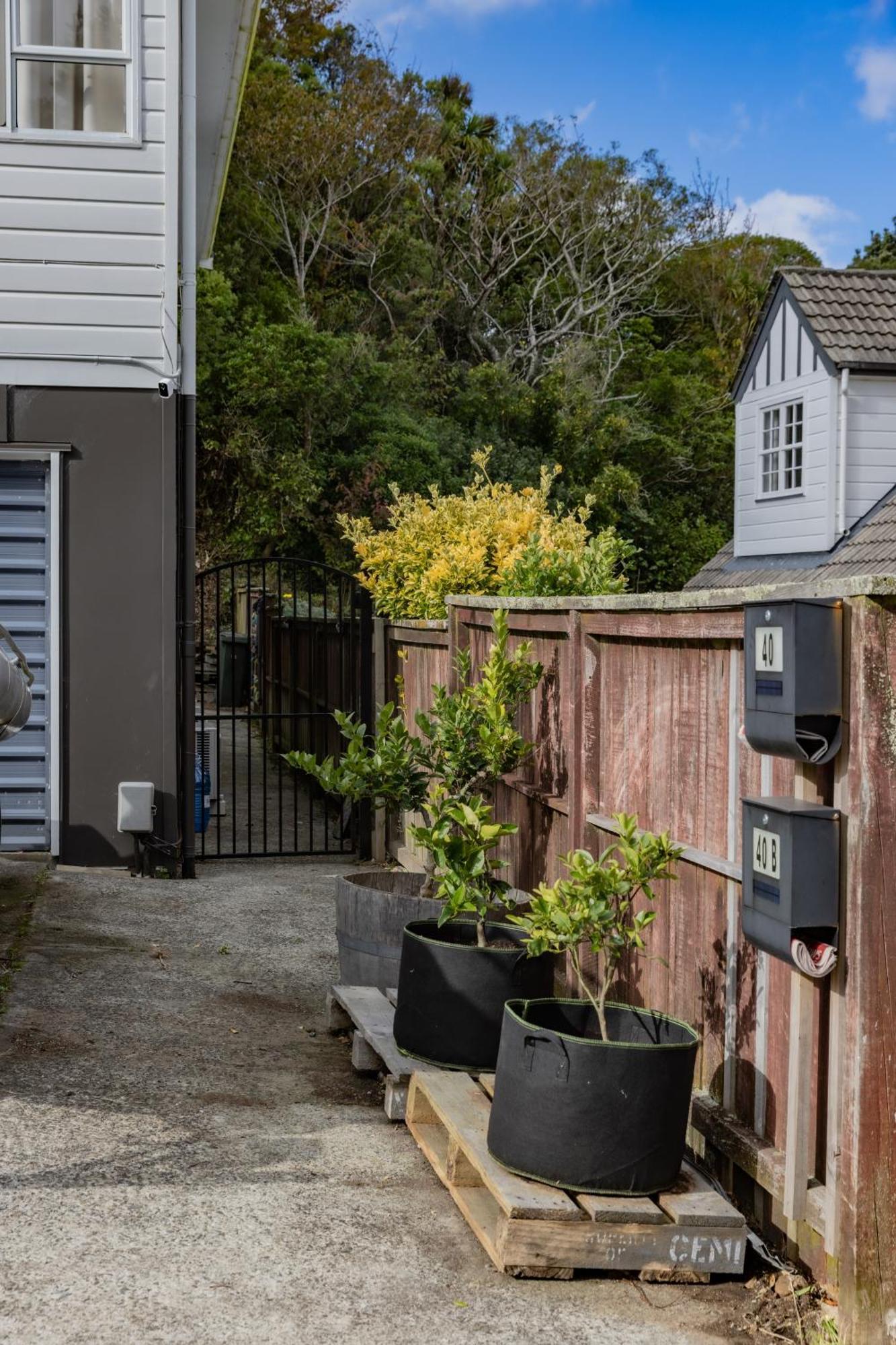 Back Garden Flat With Free On Street Parking And Fiber Wifi - 15 Mins To Ferry, Stadium, Cbd Wellington Exterior photo